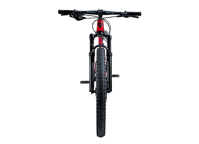 RASCAL Wild 24