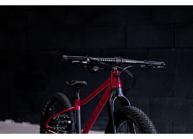 RASCAL Wild 20