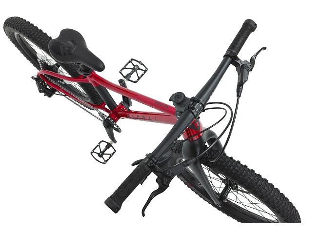RASCAL Wild 20